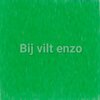 Wolvilt 20 x 30 cm Felgroen