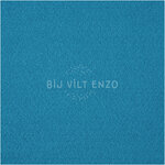 Acrylvilt meter Turkoois Bij vilt enzo