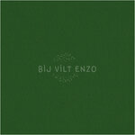 Acrylvilt meter Groen Bij vilt enzo