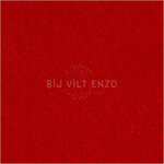 Acrylvilt meter Rood Bij vilt enzo