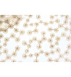 Kant Daisy Creme Bij vilt enzo