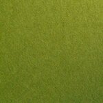 Dik vil Trend Olijf Bij vilt enzo