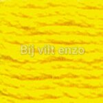 Venus spijtgaren Geel