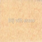 Venus Splijtgaren Licht Zalmroze Bij vilt enzo