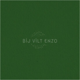 Knutselvilt Lapje Groen Bij vilt enzo