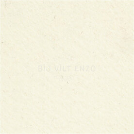 Knutselvilt Lapje Ecru Bij vilt enzo