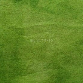 Sprookjesvilt Elfengroen Bij vilt enzo