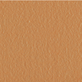 Vilt lapje Zalm -polyestervilt - Bij vilt enzo