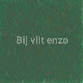 Wolvilt 20 x 30 cm Donker Groen