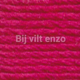 Venus splijtgaren Framboos