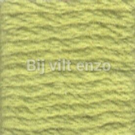 Venus splijtgaren Geelgroen - Lente