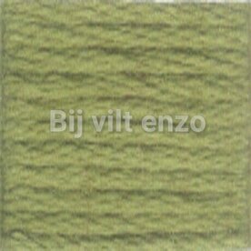 Venus splijtgaren Groen