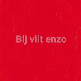 3 mm dik wolvilt Rood Bij vilt enzo