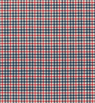 Vilt tartan ruit Blauw- Rood Bij vilt enzo