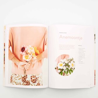 Boek Viltbloemen Daphne Engelke