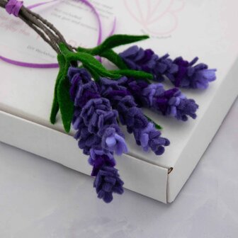 Bloom Box Lavendel Bij vilt enzo