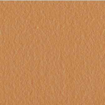 Vilt lapje Zalm -polyestervilt - Bij vilt enzo