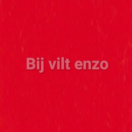 Wolvilt lapje 20 x 30 cm Rood