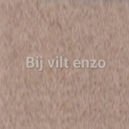 Wolvilt 20 x 30 cm Beige