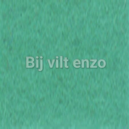 Wolvilt 20 x 30 cm Mint