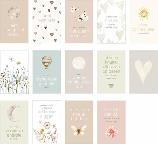 Doosje Troost - Kaartjes Bij vilt enzo