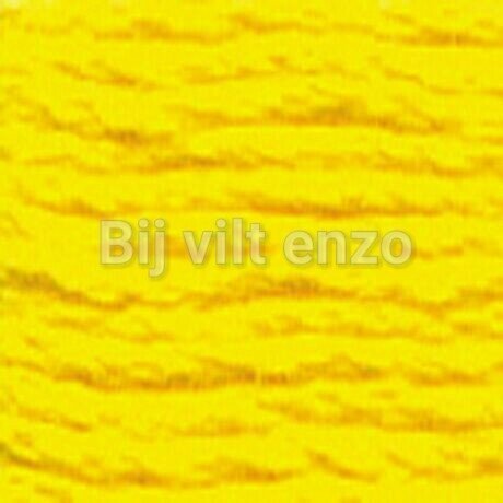 Venus spijtgaren Geel