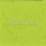 3 mm dik Wolvilt Lapje Limoen