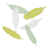 Vilt Veren Groen Mint Wit