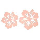 2 XL Vilt Bloemen Hibiscus Zalm