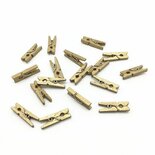 Mini Wasknijper Goud