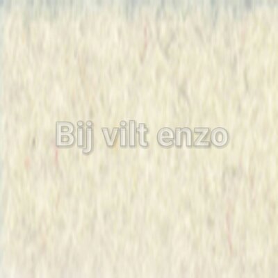Wolvilt V002 Ecru Lapje 20x30cm