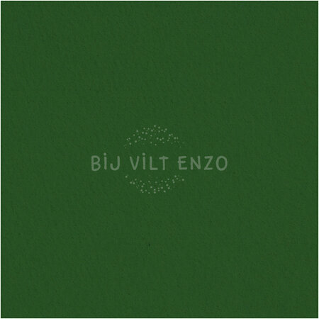 3mm dik Acrylvilt 42x60cm Groen
