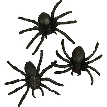 10 Spinnen
