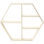 Houten Display Kast