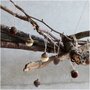 Eikelhangers - pompons